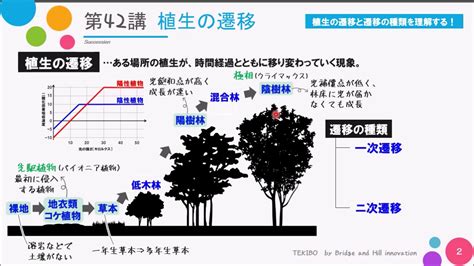 陽樹 陰樹 一覧 生物基礎|「高校生物基礎」植物の名前一覧シート（植生の多様性と分布）